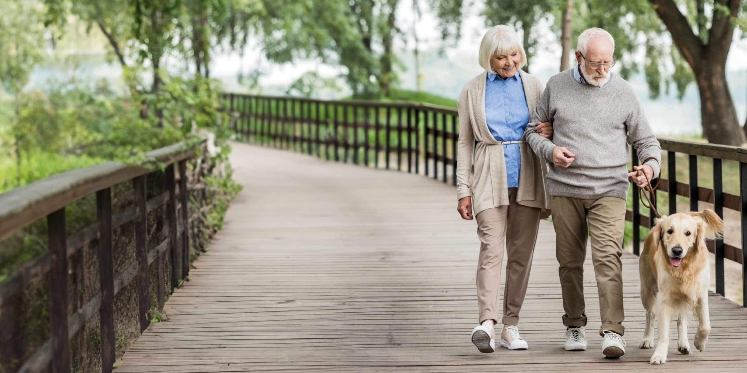 Ein älteres Paar genießt einen ruhigen Spaziergang mit seinem Golden Retriever auf einer Holzbrücke in einem üppigen Park.