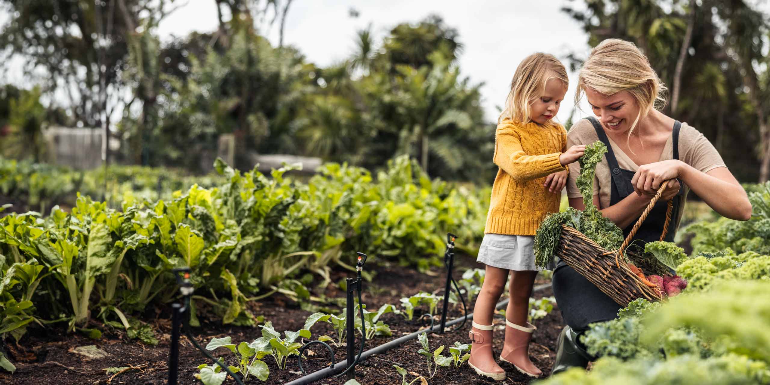 Eine Frau und ein kleines Kind ernten Gemüse in einem üppigen Garten. Die Frau zeigt dem Kind lächelnd ein Bündel Karotten, die sie gerade aus der Erde gezogen haben.